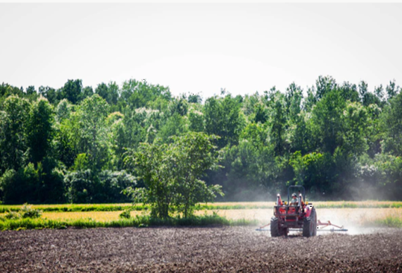 Agriculture biologique