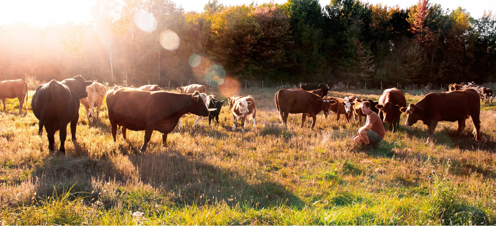 Les Fermes Valens — Huntingdon, Québec